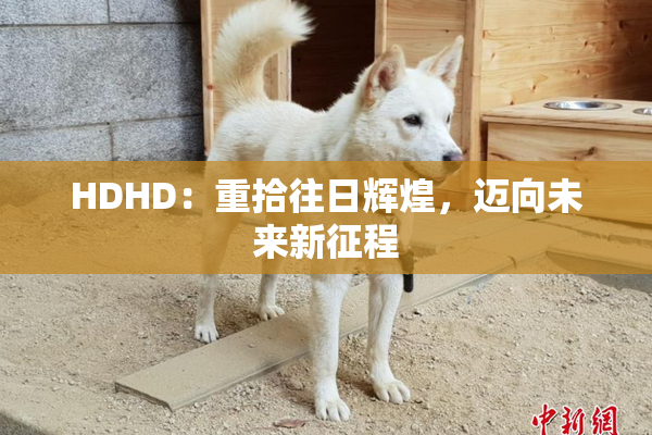 HDHD：重拾往日辉煌，迈向未来新征程