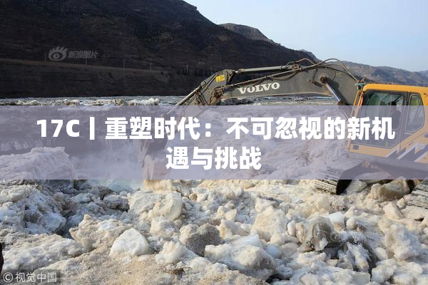 17C丨重塑时代：不可忽视的新机遇与挑战