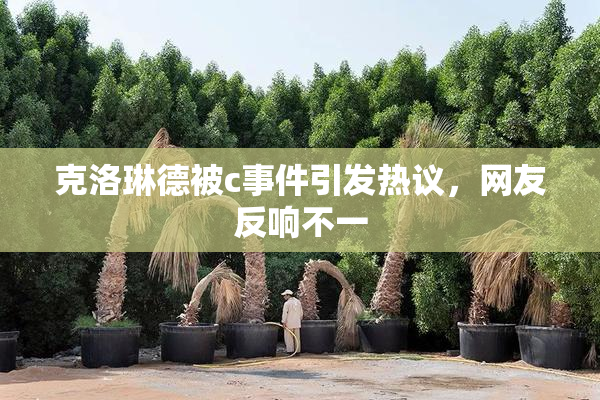 克洛琳德被c事件引发热议，网友反响不一