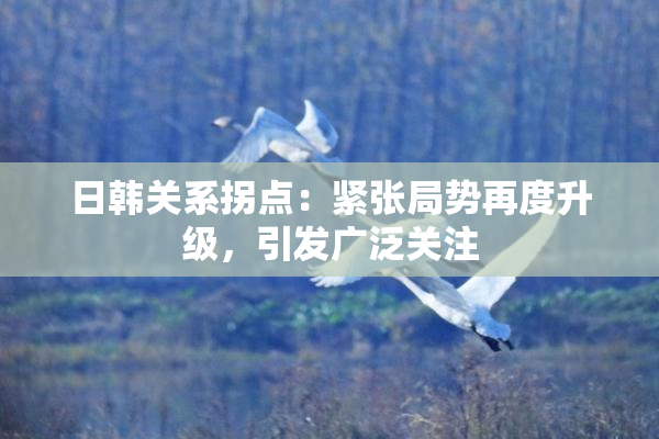 日韩关系拐点：紧张局势再度升级，引发广泛关注