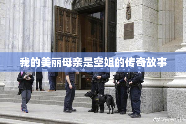 我的美丽母亲是空姐的传奇故事