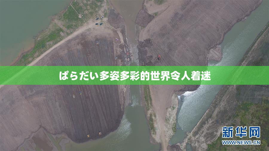 ぱらだい多姿多彩的世界令人着迷