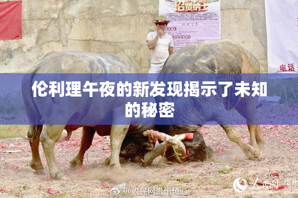 伦利理午夜的新发现揭示了未知的秘密