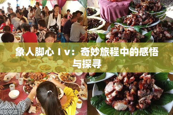 象人脚心Ⅰv：奇妙旅程中的感悟与探寻