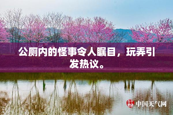 公厕内的怪事令人瞩目，玩弄引发热议。