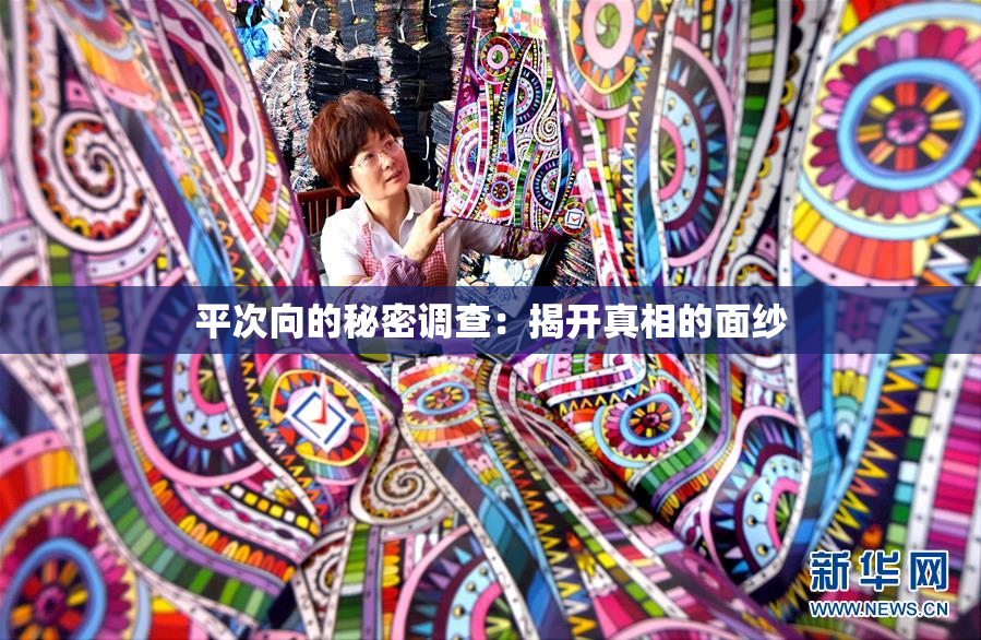 平次向的秘密调查：揭开真相的面纱