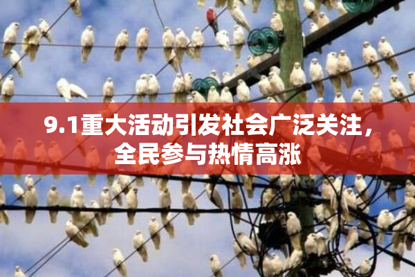9.1重大活动引发社会广泛关注，全民参与热情高涨