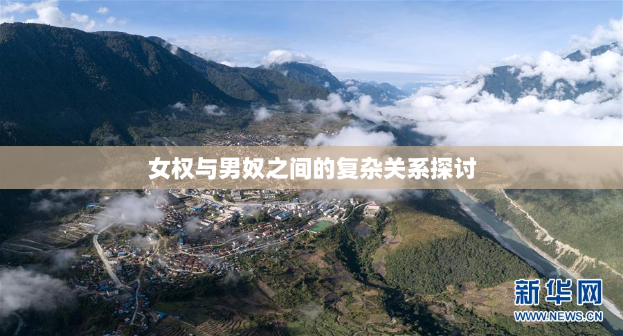 女权与男奴之间的复杂关系探讨