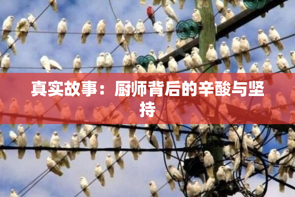 真实故事：厨师背后的辛酸与坚持
