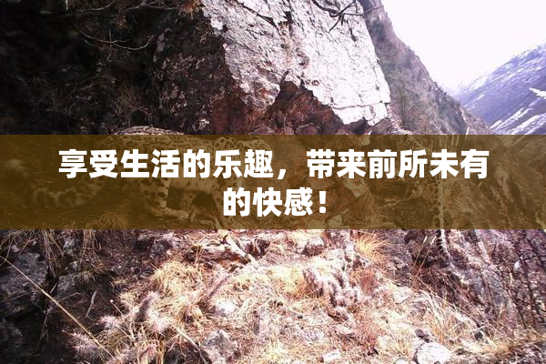 享受生活的乐趣，带来前所未有的快感！