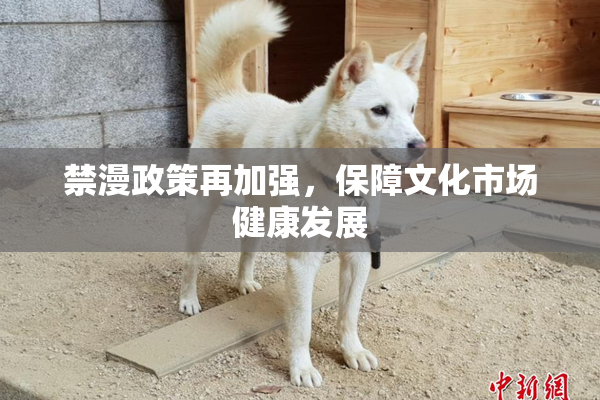 禁漫政策再加强，保障文化市场健康发展