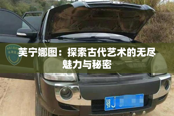 芙宁娜图：探索古代艺术的无尽魅力与秘密