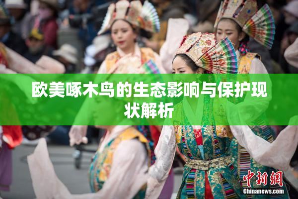 欧美啄木鸟的生态影响与保护现状解析