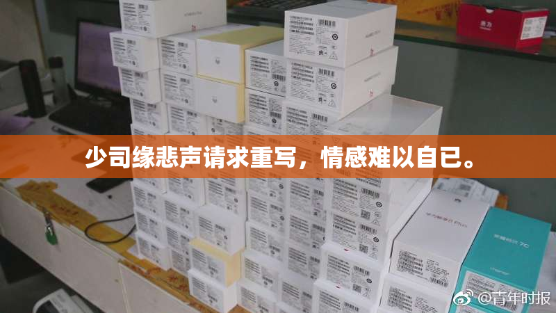 少司缘悲声请求重写，情感难以自已。