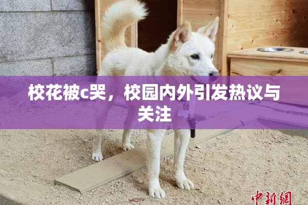 校花被c哭，校园内外引发热议与关注