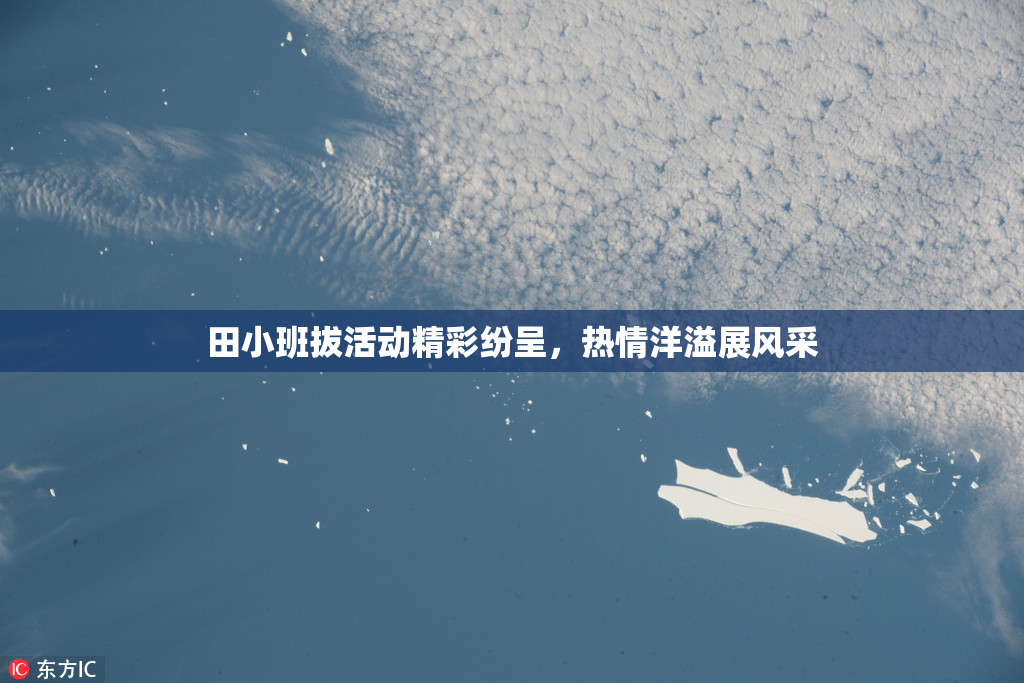 田小班拔活动精彩纷呈，热情洋溢展风采