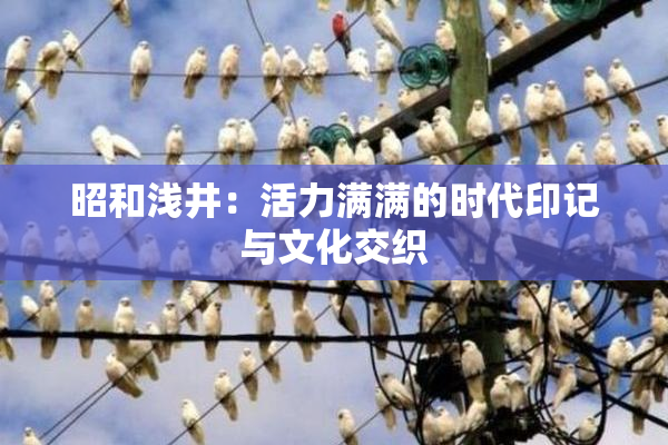 昭和浅井：活力满满的时代印记与文化交织