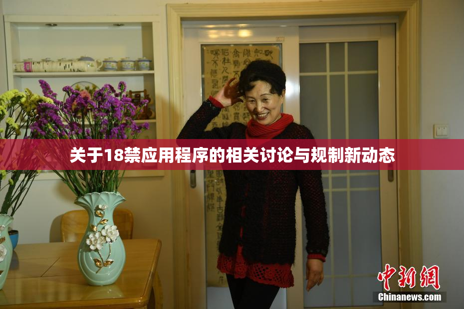 关于18禁应用程序的相关讨论与规制新动态