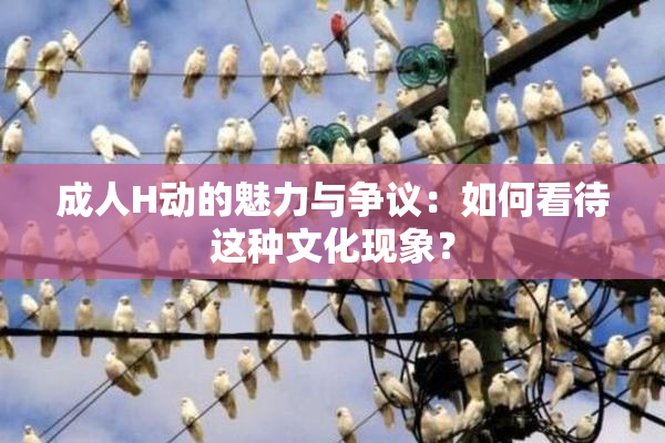 成人H动的魅力与争议：如何看待这种文化现象？