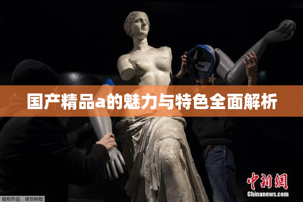 国产精品a的魅力与特色全面解析