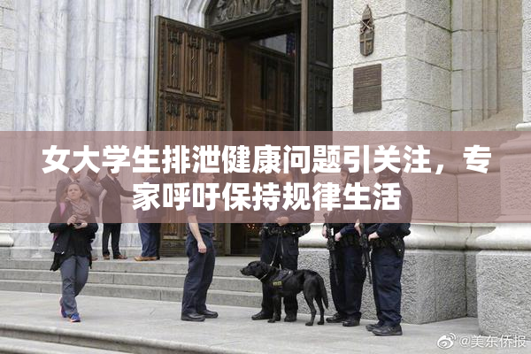 女大学生排泄健康问题引关注，专家呼吁保持规律生活