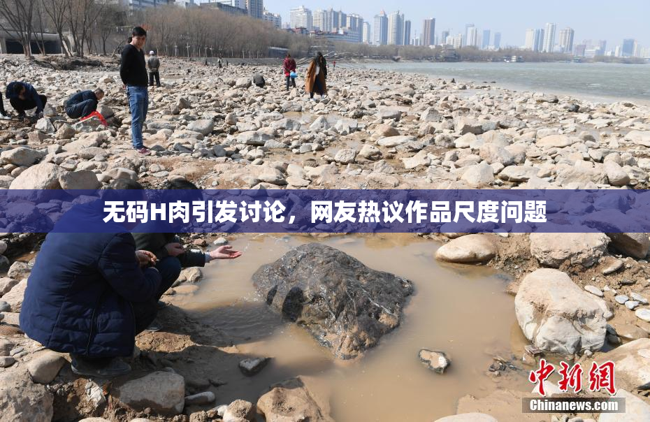 无码H肉引发讨论，网友热议作品尺度问题