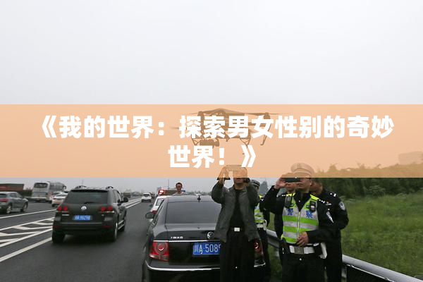 《我的世界：探索男女性别的奇妙世界！》