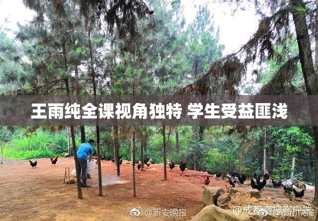 王雨纯全课视角独特 学生受益匪浅