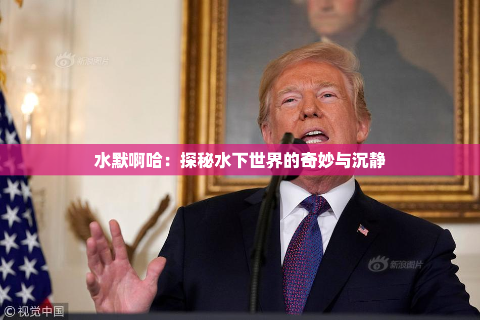 水默啊哈：探秘水下世界的奇妙与沉静