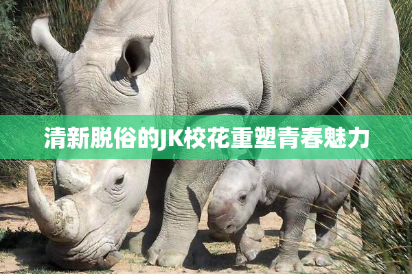 清新脱俗的JK校花重塑青春魅力