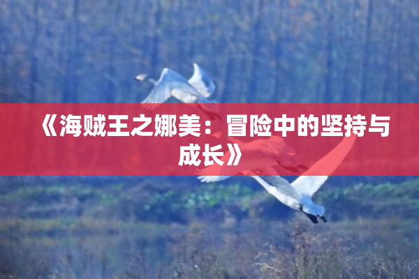 《海贼王之娜美：冒险中的坚持与成长》