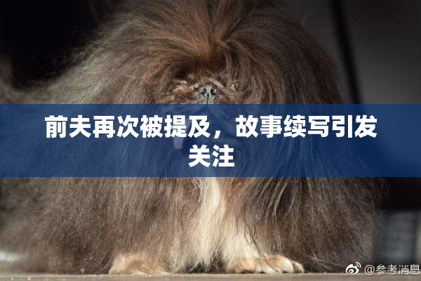 前夫再次被提及，故事续写引发关注
