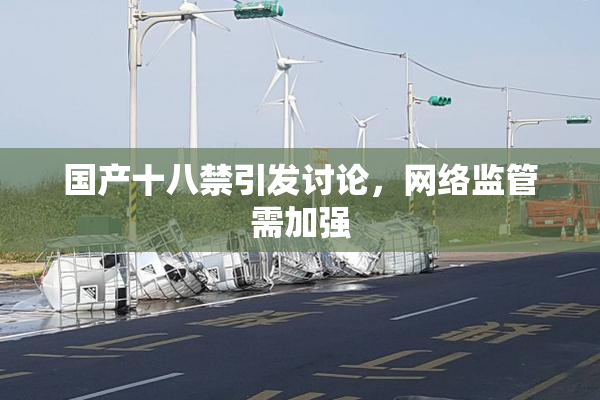 国产十八禁引发讨论，网络监管需加强