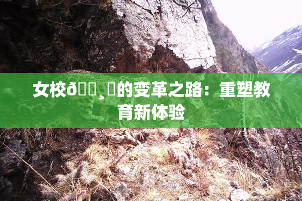 女校🌸‌的变革之路：重塑教育新体验