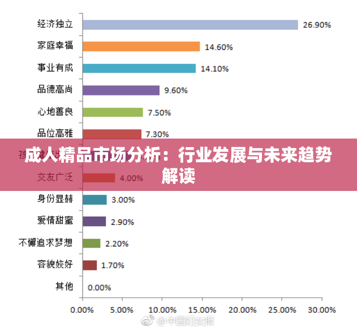 成人精品市场分析：行业发展与未来趋势解读