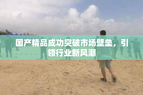 国产精品成功突破市场壁垒，引领行业新风潮