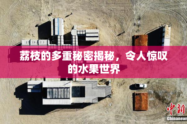 荔枝的多重秘密揭秘，令人惊叹的水果世界