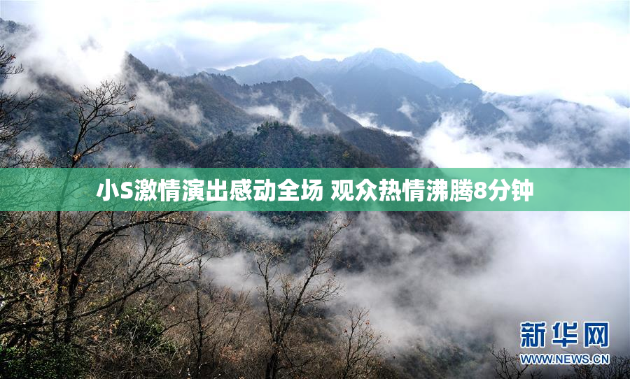 小S激情演出感动全场 观众热情沸腾8分钟