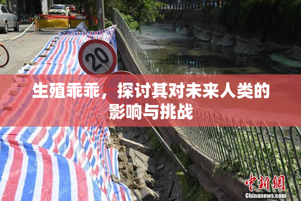 生殖乖乖，探讨其对未来人类的影响与挑战