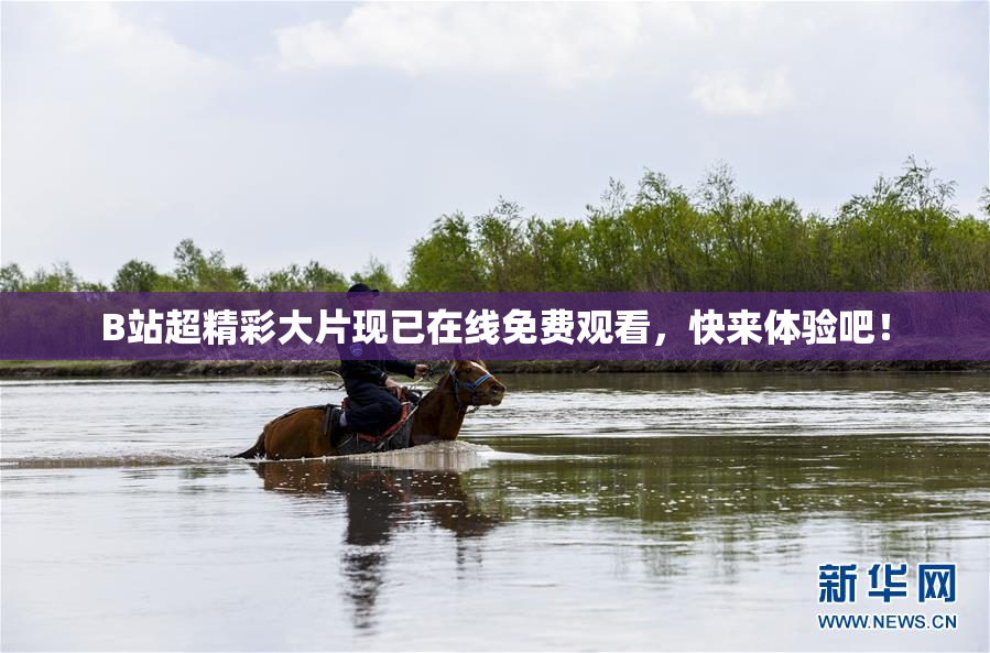 B站超精彩大片现已在线免费观看，快来体验吧！