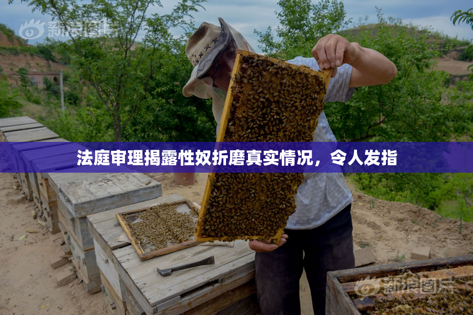 法庭审理揭露性奴折磨真实情况，令人发指