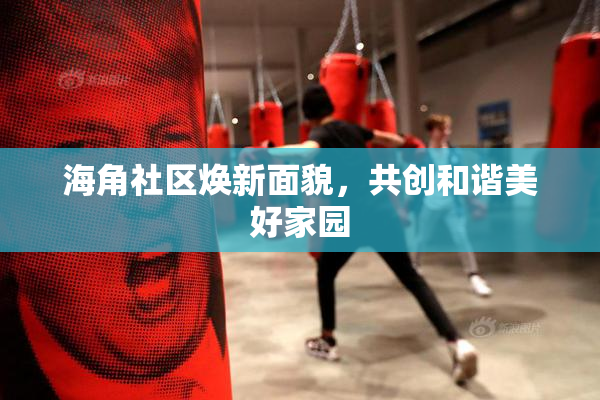 海角社区焕新面貌，共创和谐美好家园