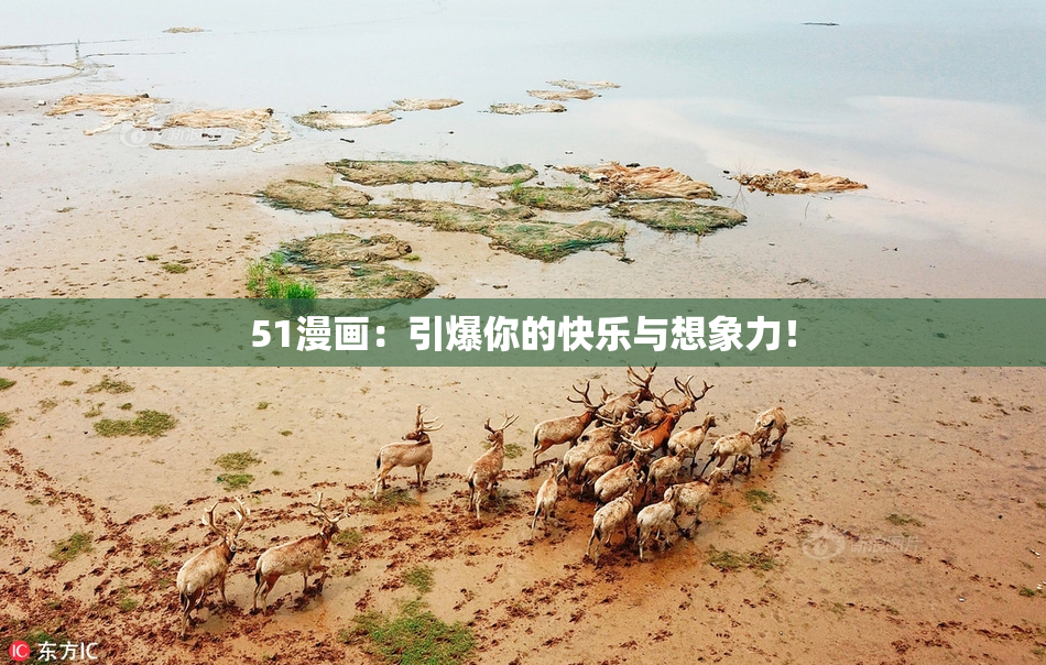 51漫画：引爆你的快乐与想象力！