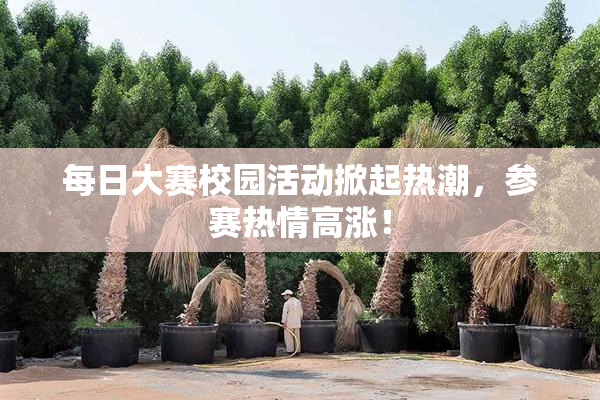 每日大赛校园活动掀起热潮，参赛热情高涨！