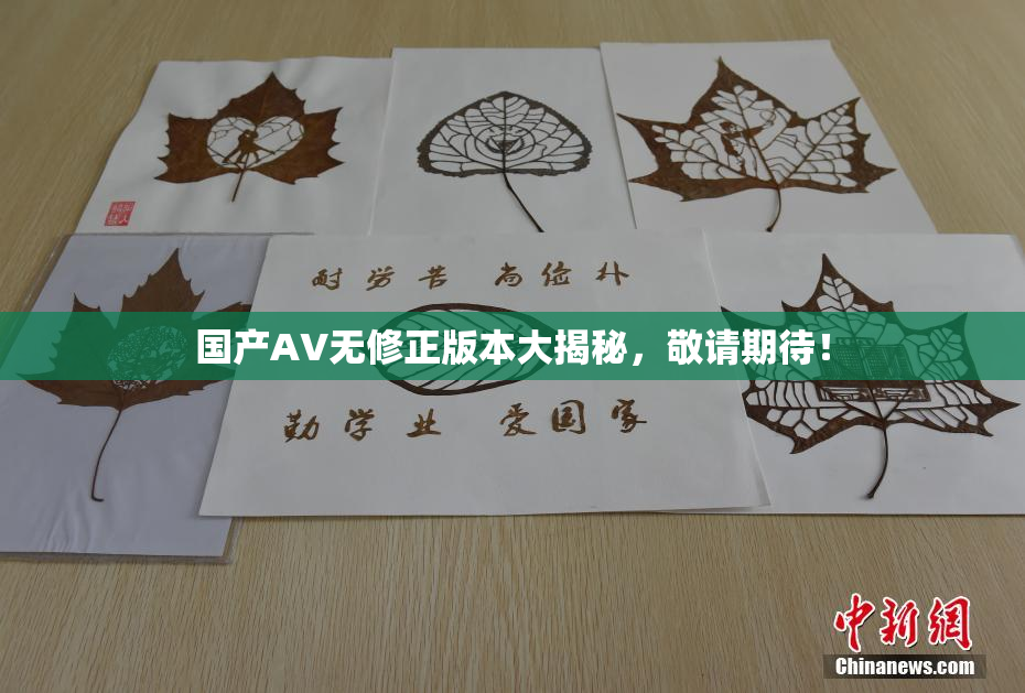 国产AV无修正版本大揭秘，敬请期待！
