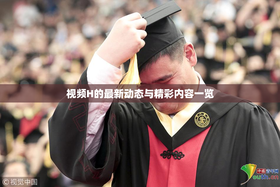 视频H的最新动态与精彩内容一览
