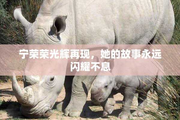宁荣荣光辉再现，她的故事永远闪耀不息