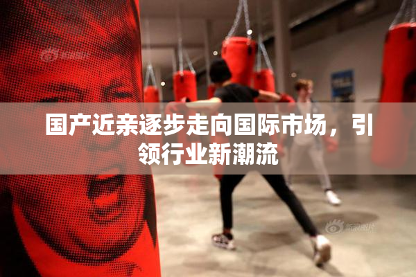 国产近亲逐步走向国际市场，引领行业新潮流