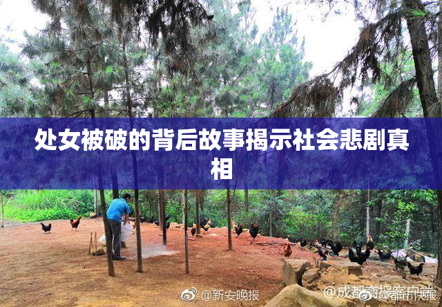 处女被破的背后故事揭示社会悲剧真相