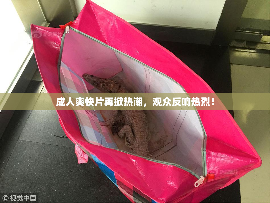 成人爽快片再掀热潮，观众反响热烈！
